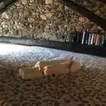 Residenza Il Rustico Maggiore Daire Gravellona Toce